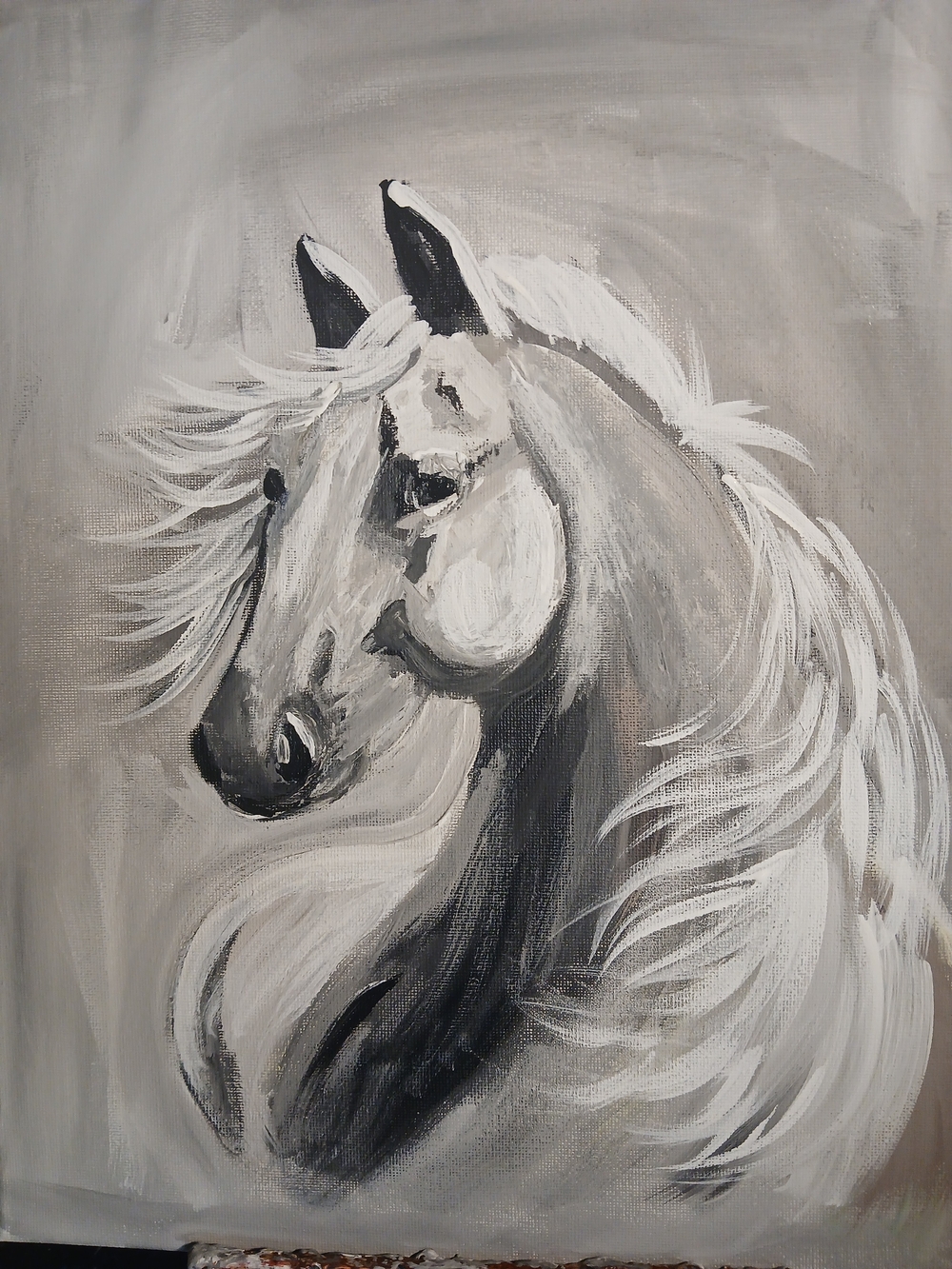 Elegant Grey Horse Canvas Art Print - Neutral Horse Wall Decor 8 X10 Acrylic